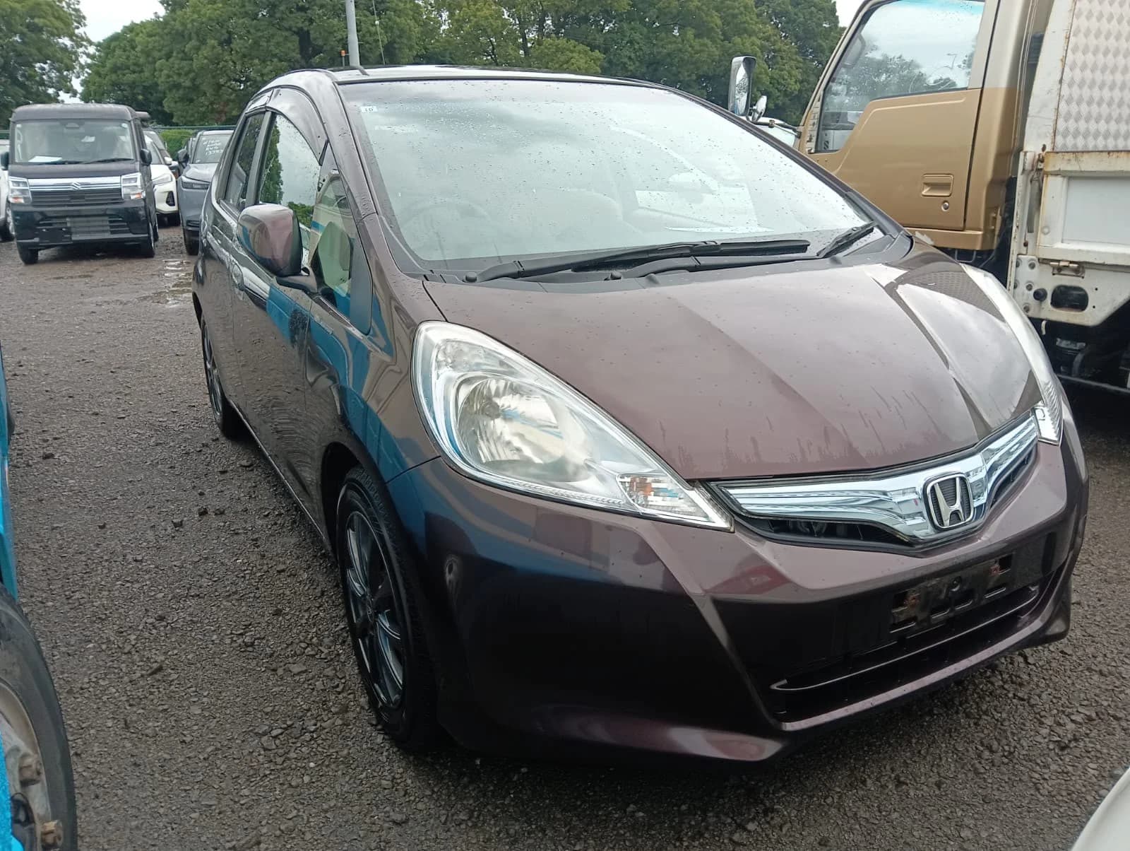 Dark purple Honda Fit Hybrid, front three-quarter view in the rain showing the Honda badge and chrome grille, parked among other cars in a gravel auction yard
