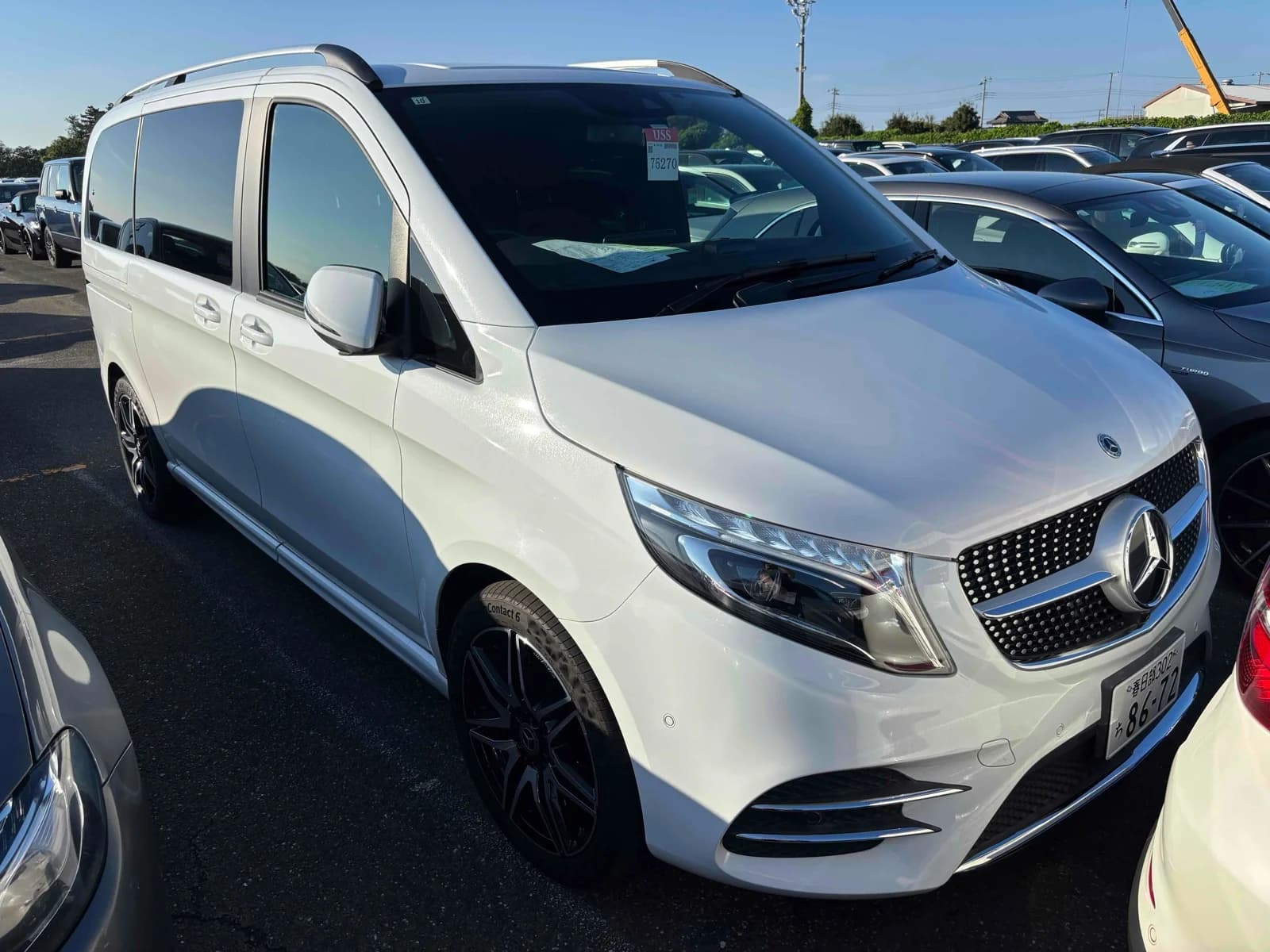 Mercedes-Benz V-Class minivan - Front-right exterior view with pearl white paint, diamond-pattern grille, chrome three-pointed star, and AMG alloy wheels